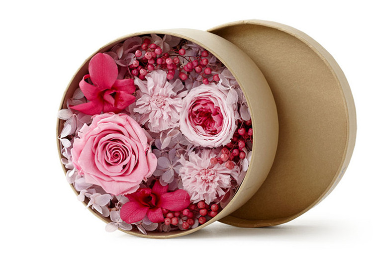 星空体育app下载