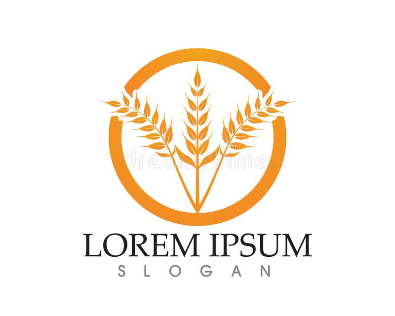 星空体育app下载:火影忍者博人传Boss是谁?伏笔从第二集就埋下(图4) 星空体育APP网站