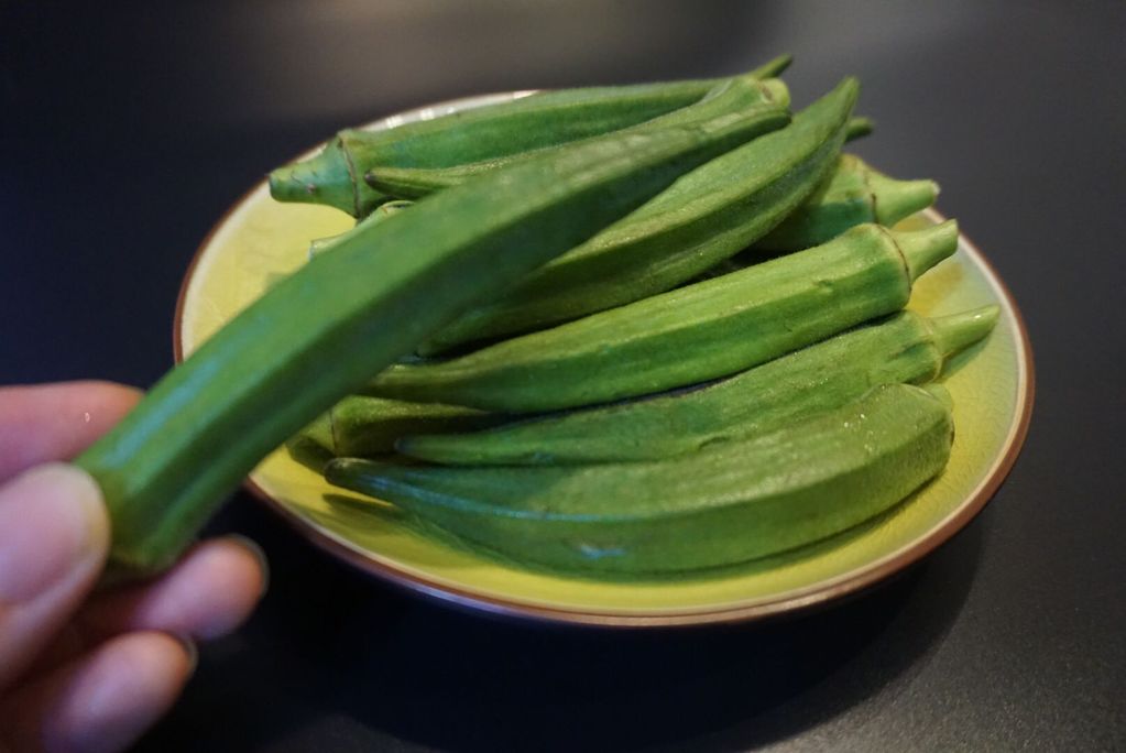 星空体育app下载