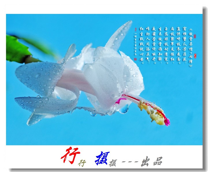 星空体育APP网站