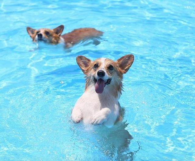 星空体育app下载