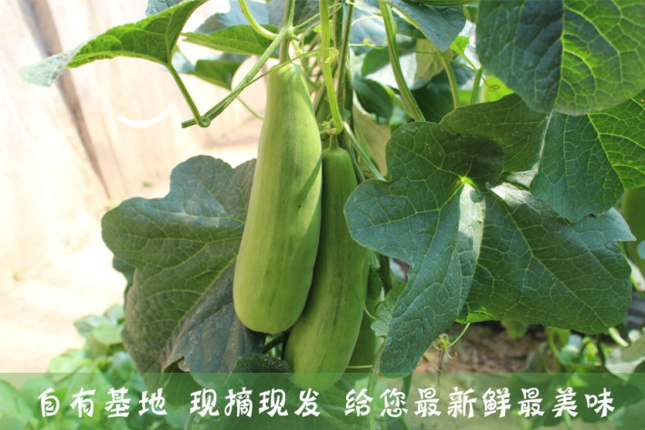 星空体育app下载