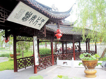 星空体育APP网站