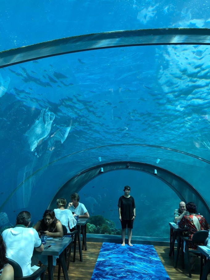 星空体育app下载