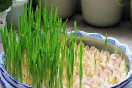 小白该怎么学习平面设计呢?你们知道平面设计的前景有多好吗:星空体育app下载(图2) 星空体育APP网站