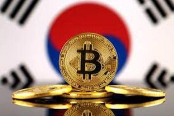 K+S:日本东京浜田山住宅【星空体育app下载】(图1) 星空体育APP