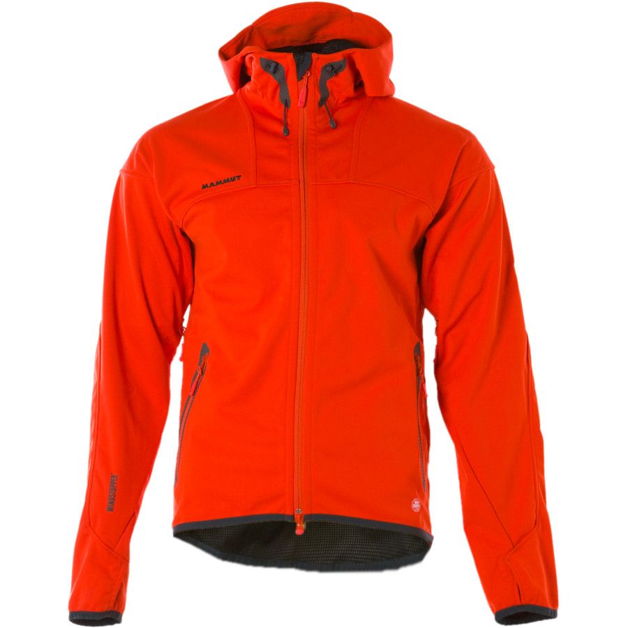 星空体育APP网站