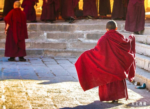 星空体育app下载