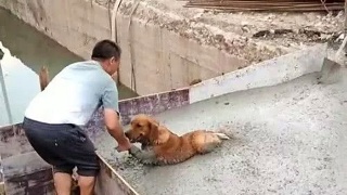 星空体育APP网站