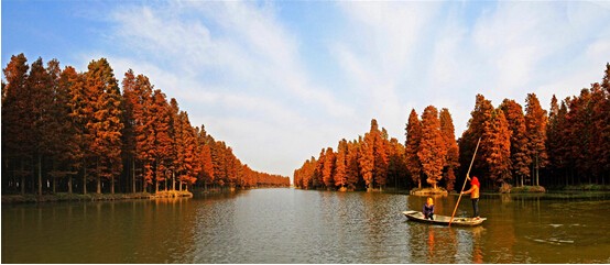 星空体育APP网站