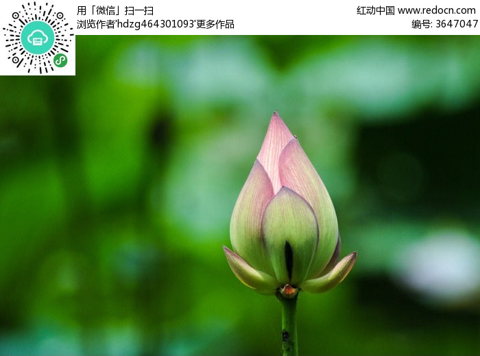 凉拌海带丝|星空体育APP(图5) 星空体育app下载