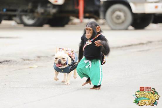 星空体育APP网站