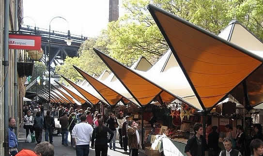 星空体育APP网站