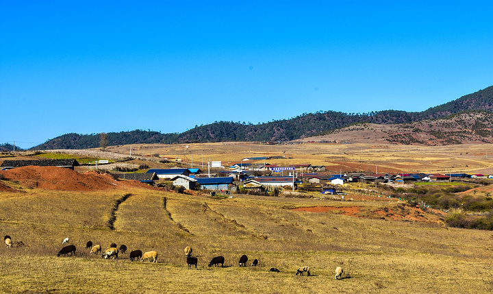 星空体育app下载_【TDC深圳设计周】见证神奇的“5步提升城市品质”(图1) 星空体育APP