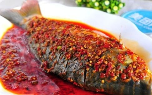 星空体育app下载