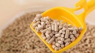 星空体育APP网站