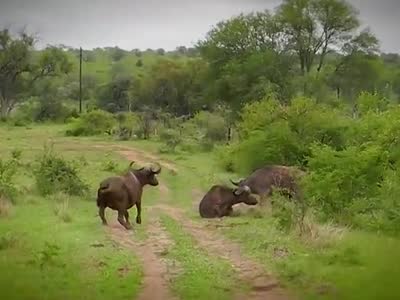 星空体育APP网站