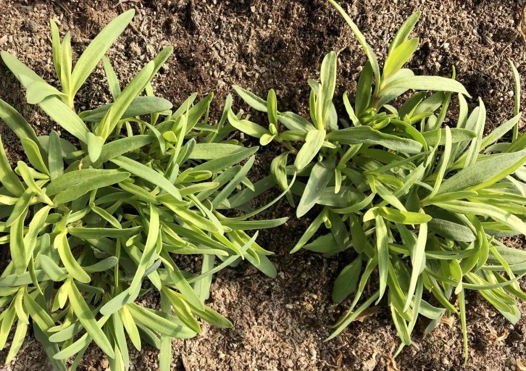 星空体育app下载