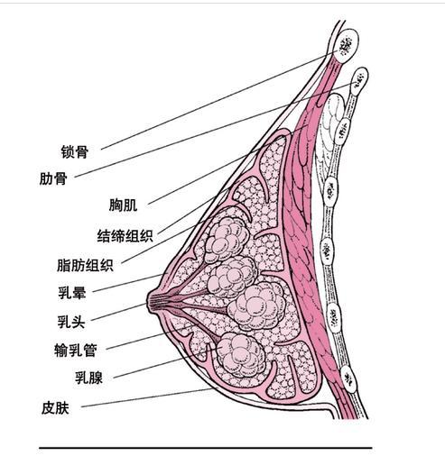 星空体育APP网站