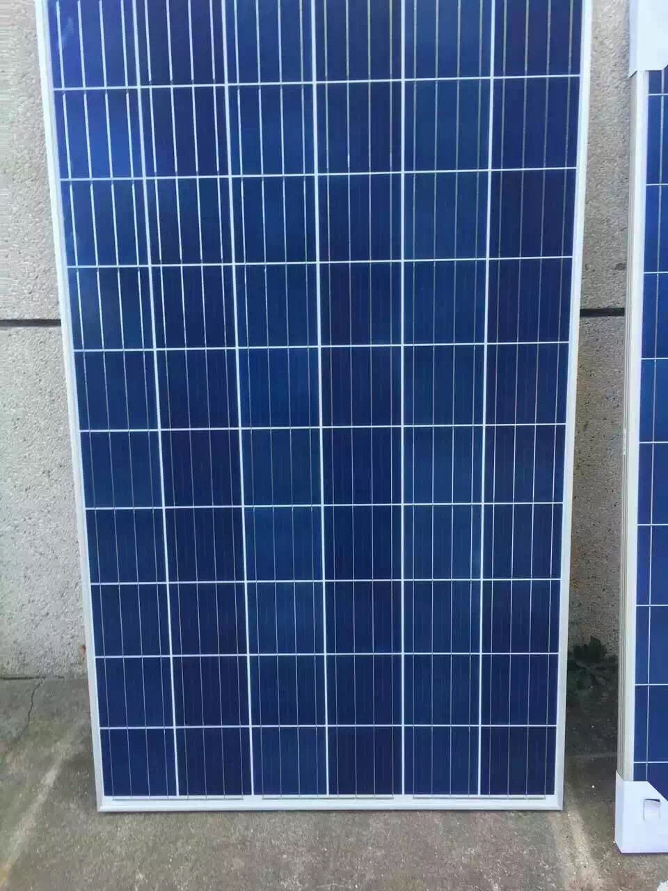 星空体育APP网站